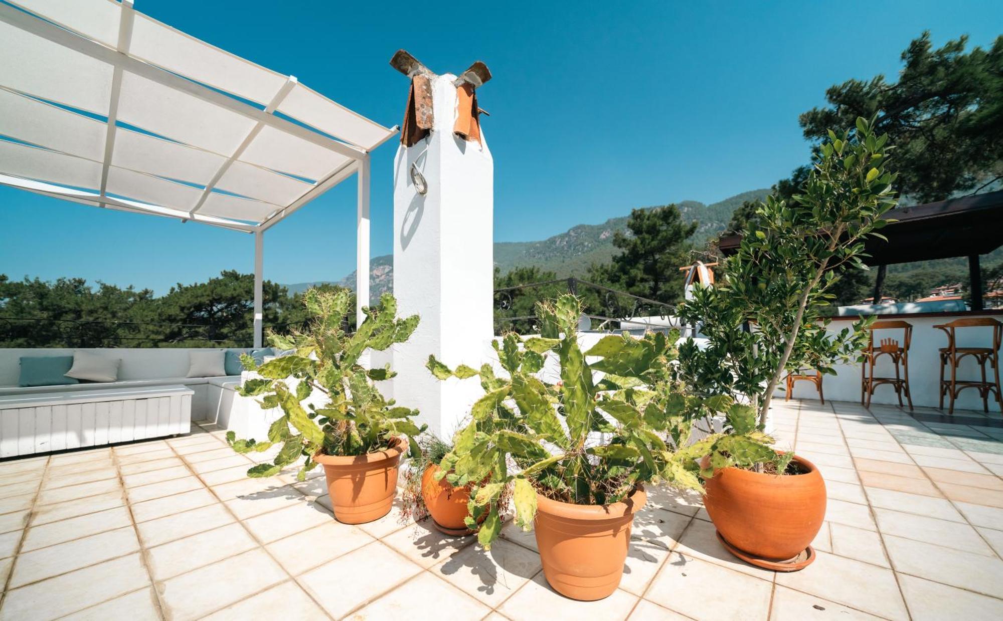 Totelya Hotel Akyaka  Ngoại thất bức ảnh